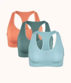 Wearlively The Seamless Racerback Bralette Trio: Terracotta/Harbor Green/Sky Blue Bras