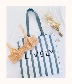 Wearlively The Denim Stripe Tote: Denim Stripe